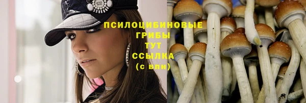 дмт Балабаново