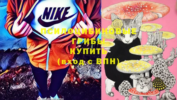 дмт Балабаново