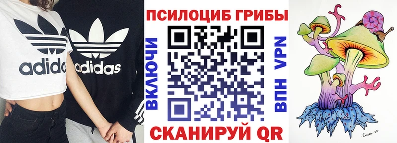 Галлюциногенные грибы мицелий  Купить где  Венёв 